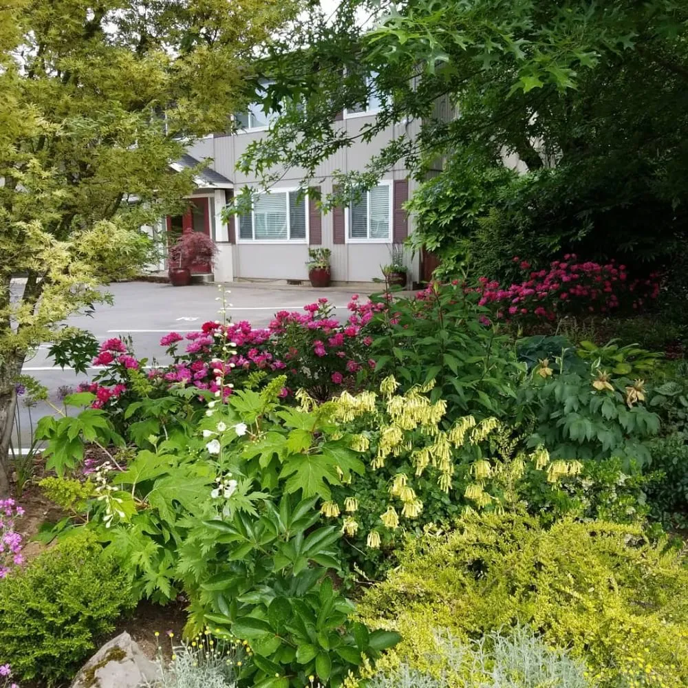 Expert landscaping services for homes across Portland, OR - Earth, Water & Wood