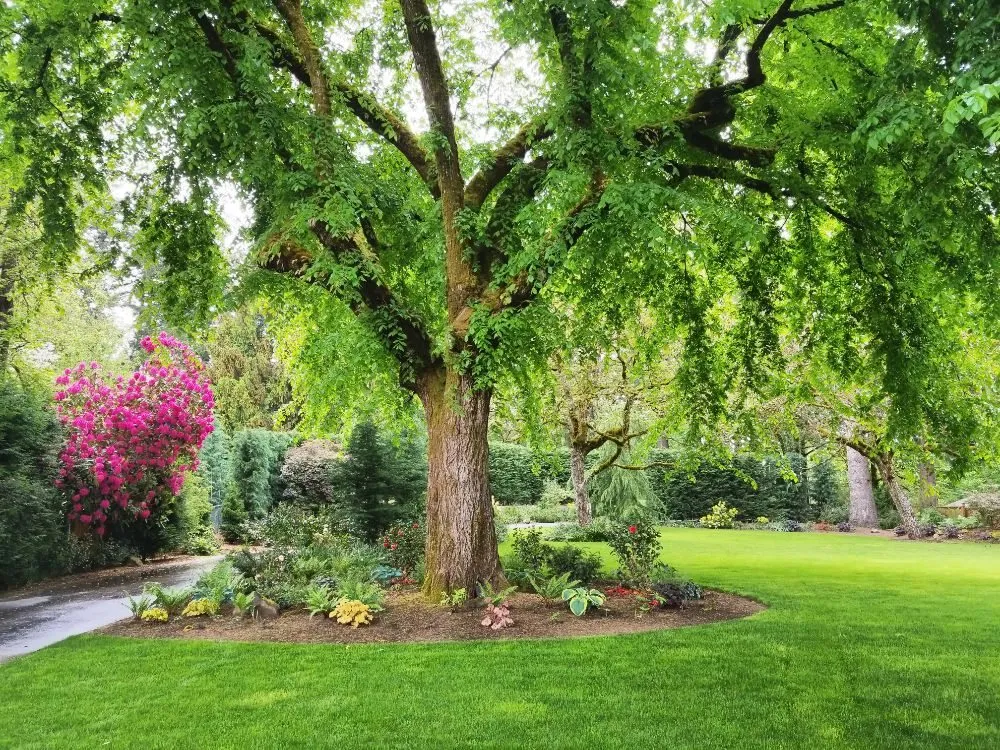 Custom residential landscaping experts serving Portland, OR - Earth, Water & Wood