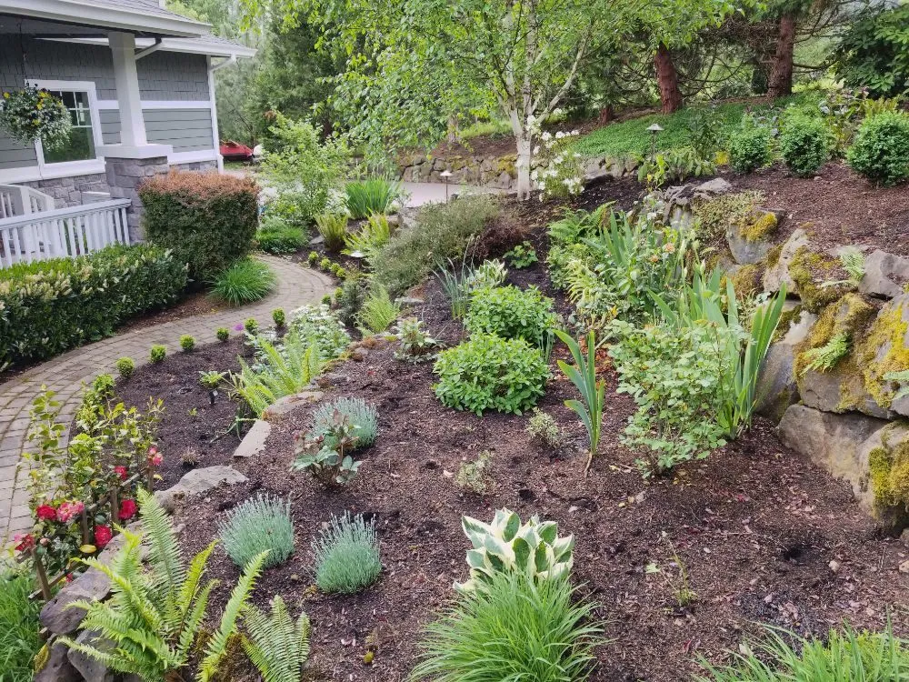 Custom lawn mowing service for beautiful yards in Portland, OR by Earth, Water & Wood