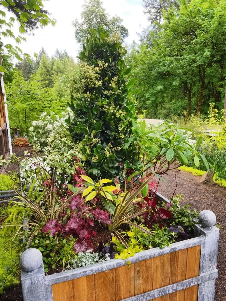 Professional residential landscaping experts serving Portland, OR - Earth, Water & Wood