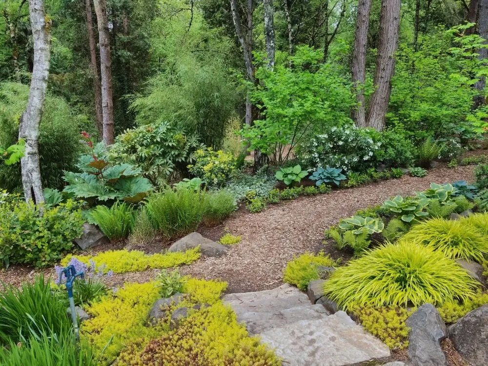 Expert landscape installation near you across Portland, OR - Earth, Water & Wood