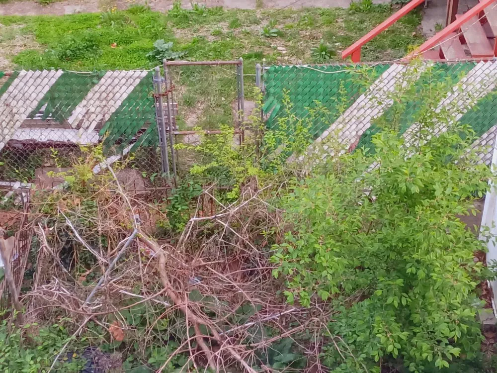 Custom landscaping services in Philadelphia, PA - Earth, Wind And Leaves Landscaping