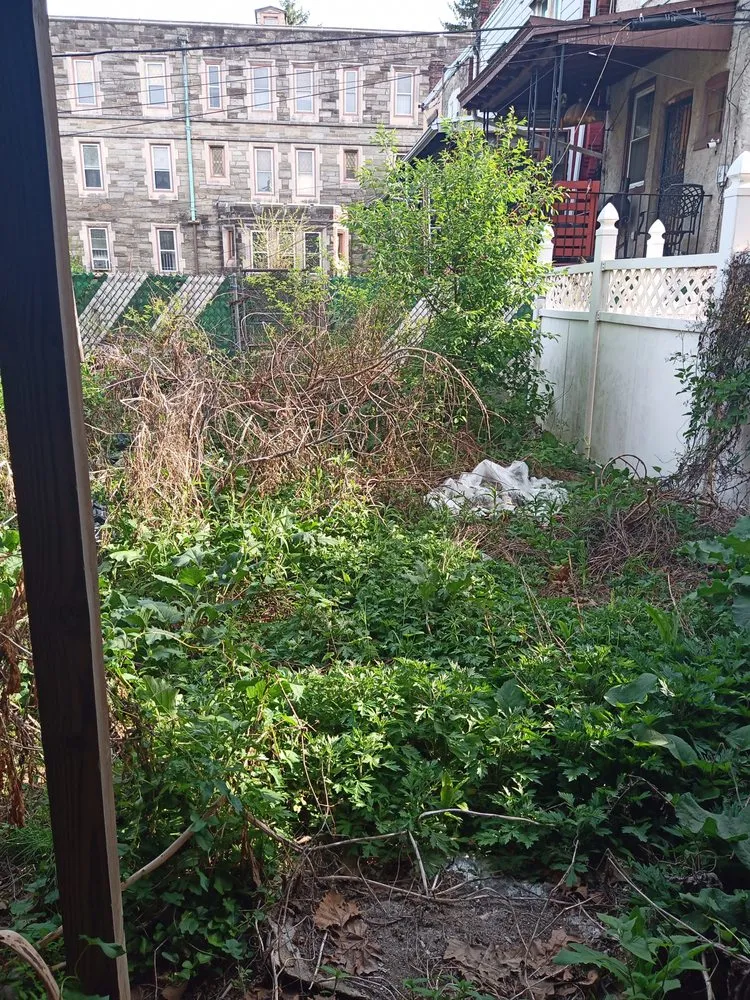 Expert garden landscaping for outdoor upgrades in Philadelphia, PA by Earth, Wind And Leaves Landscaping