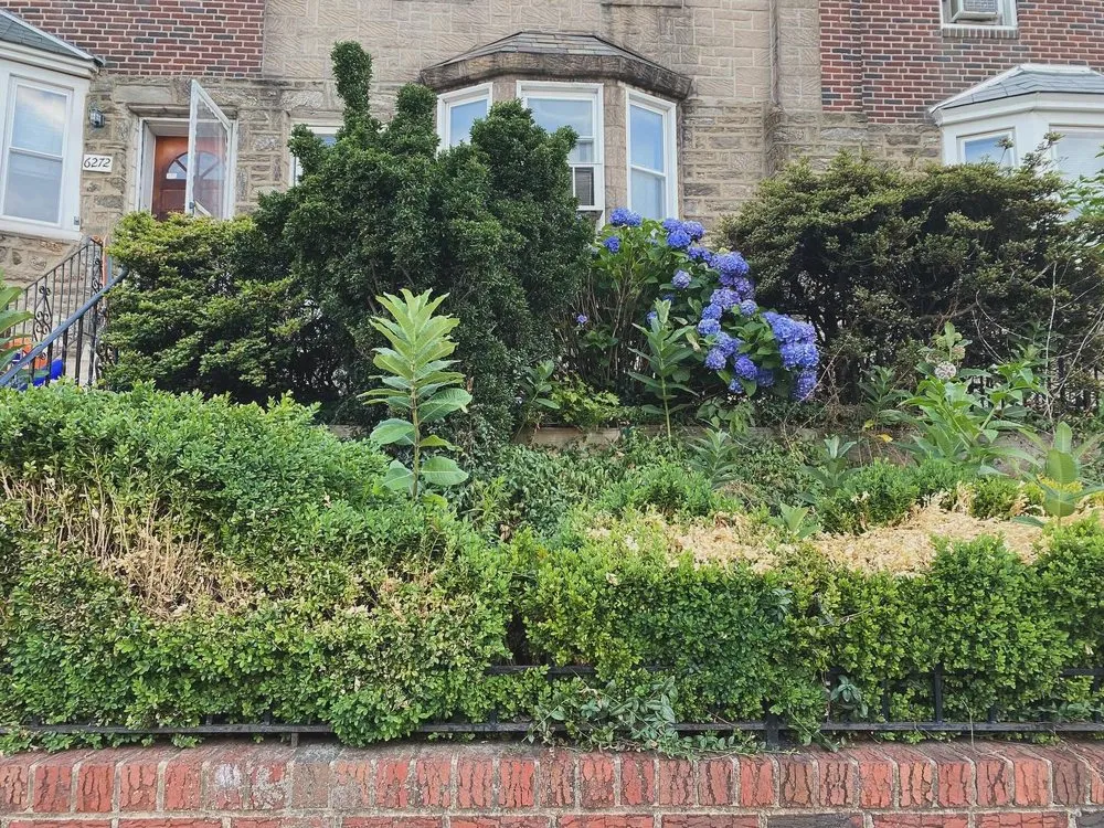 Reliable lawn mowing service in Philadelphia, PA by Earth, Wind And Leaves Landscaping