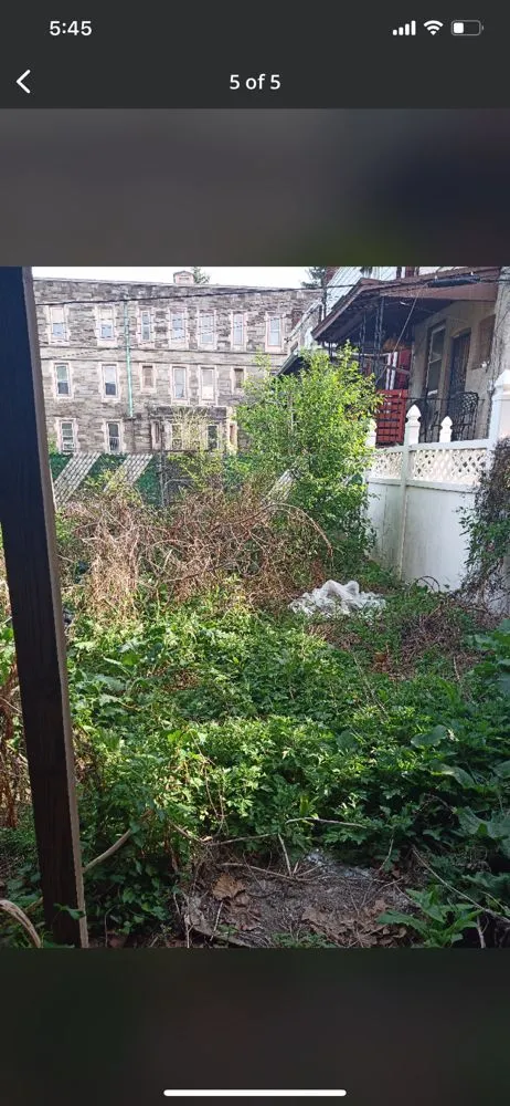 Trusted lawn mowing service in Philadelphia, PA - Earth, Wind And Leaves Landscaping