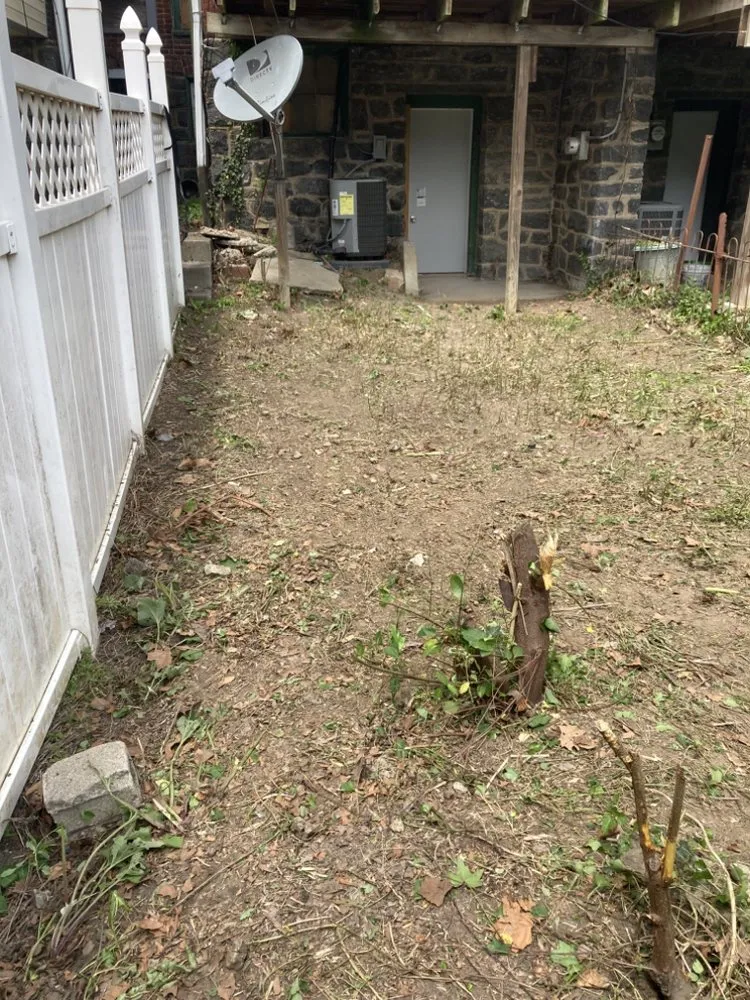 Affordable outdoor landscaping in Philadelphia, PA by Earth, Wind And Leaves Landscaping