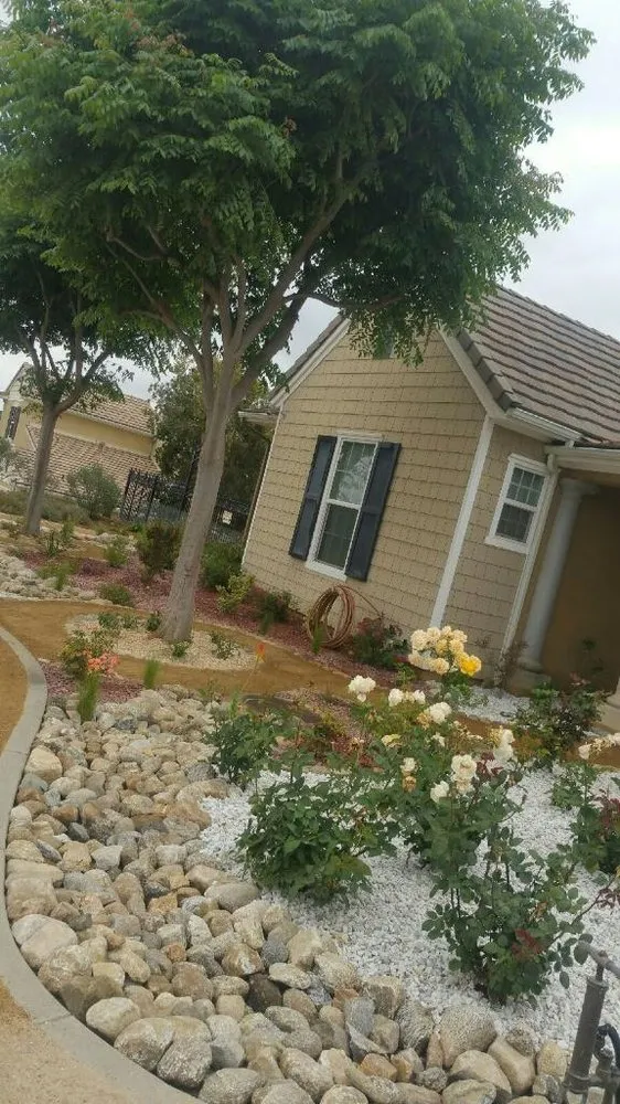 Trusted yard cleanup service in Riverside, CA by Earth Wize Landscape