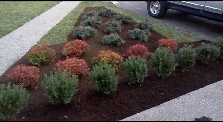 Professional residential landscaping experts serving Greenwood, IN - Earth Works Landscape Hardscaping & Mowing