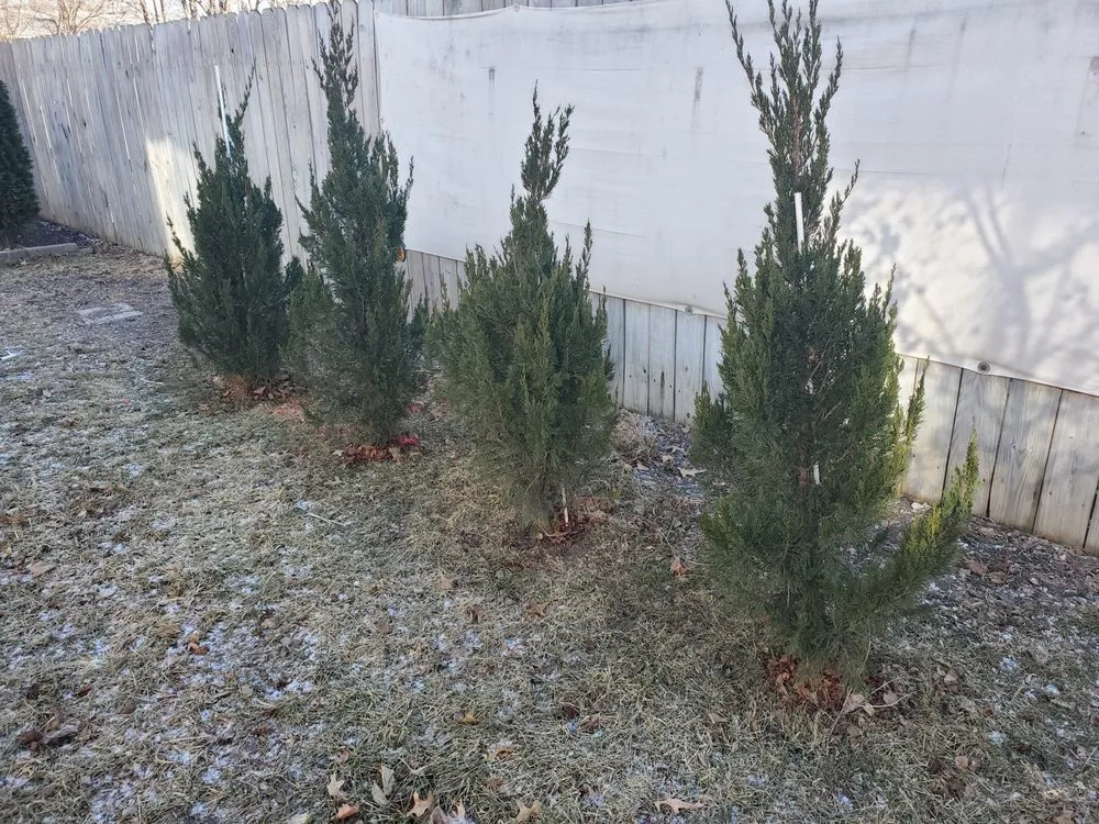 Local lawn mowing service with custom design in Lincoln, NE by Earth Works