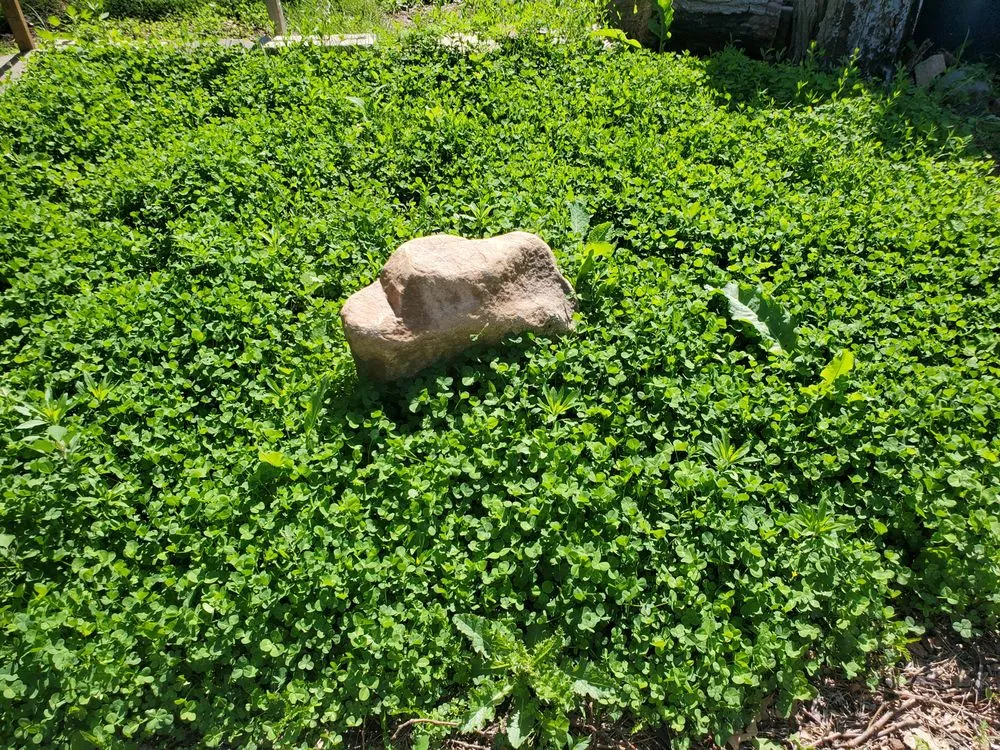 Reliable landscape design in Lincoln, NE by Earth Works