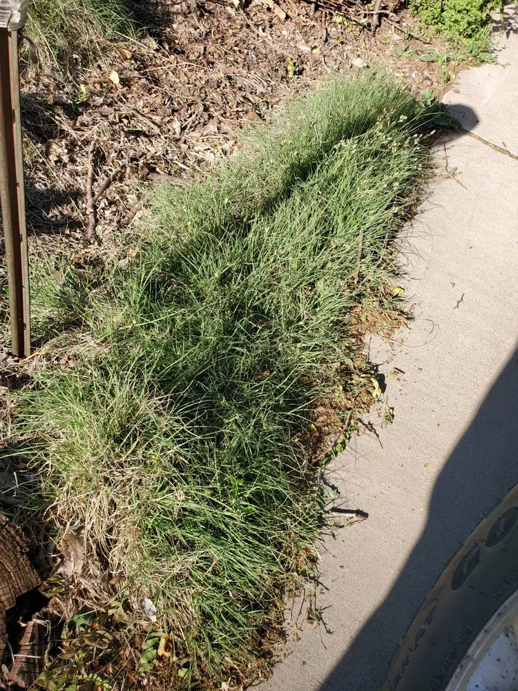 Affordable garden landscaping in Lincoln, NE by Earth Works