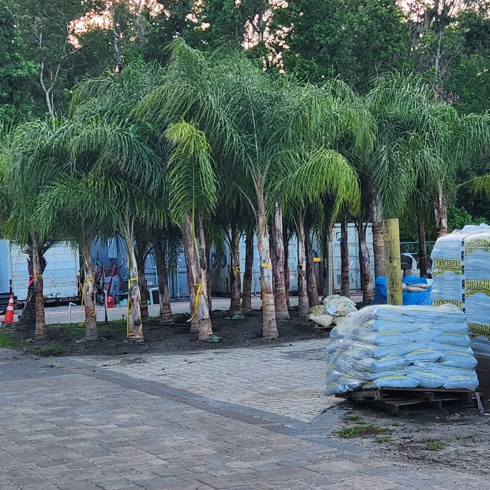 Trusted lawn care service in Jacksonville, FL by Earth Works Plant Nursery