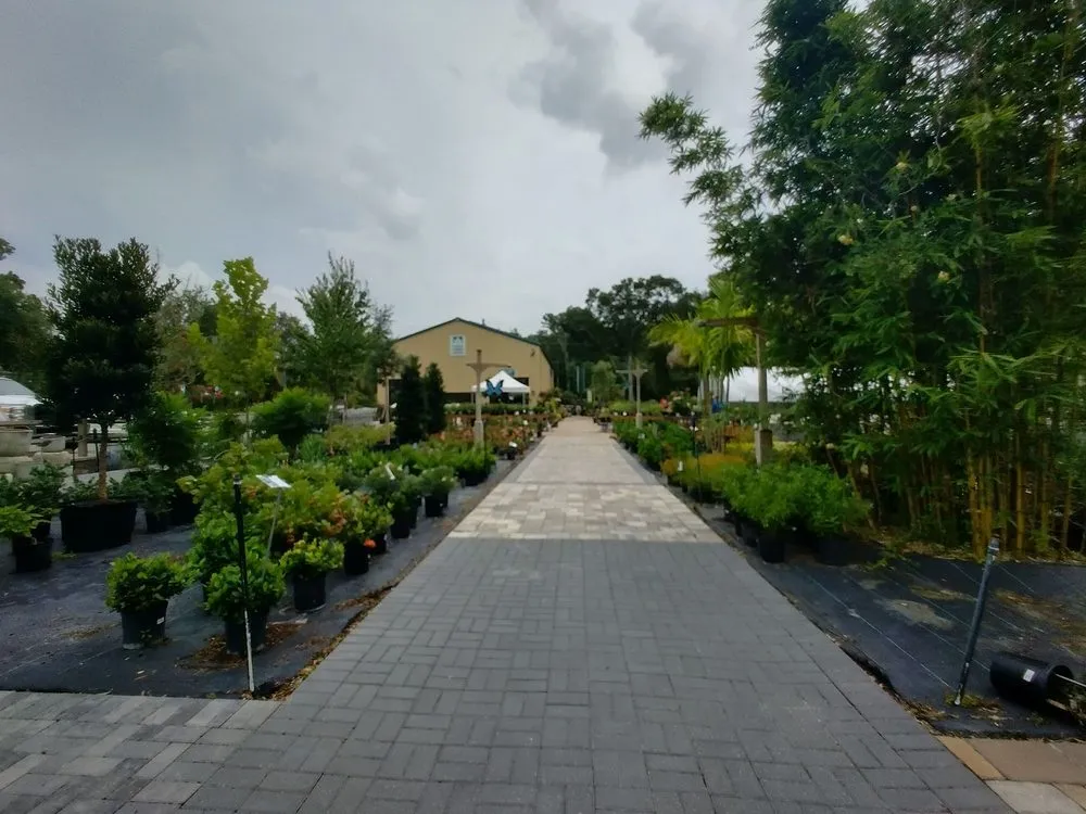 Professional residential landscaping in Jacksonville, FL by Earth Works Plant Nursery
