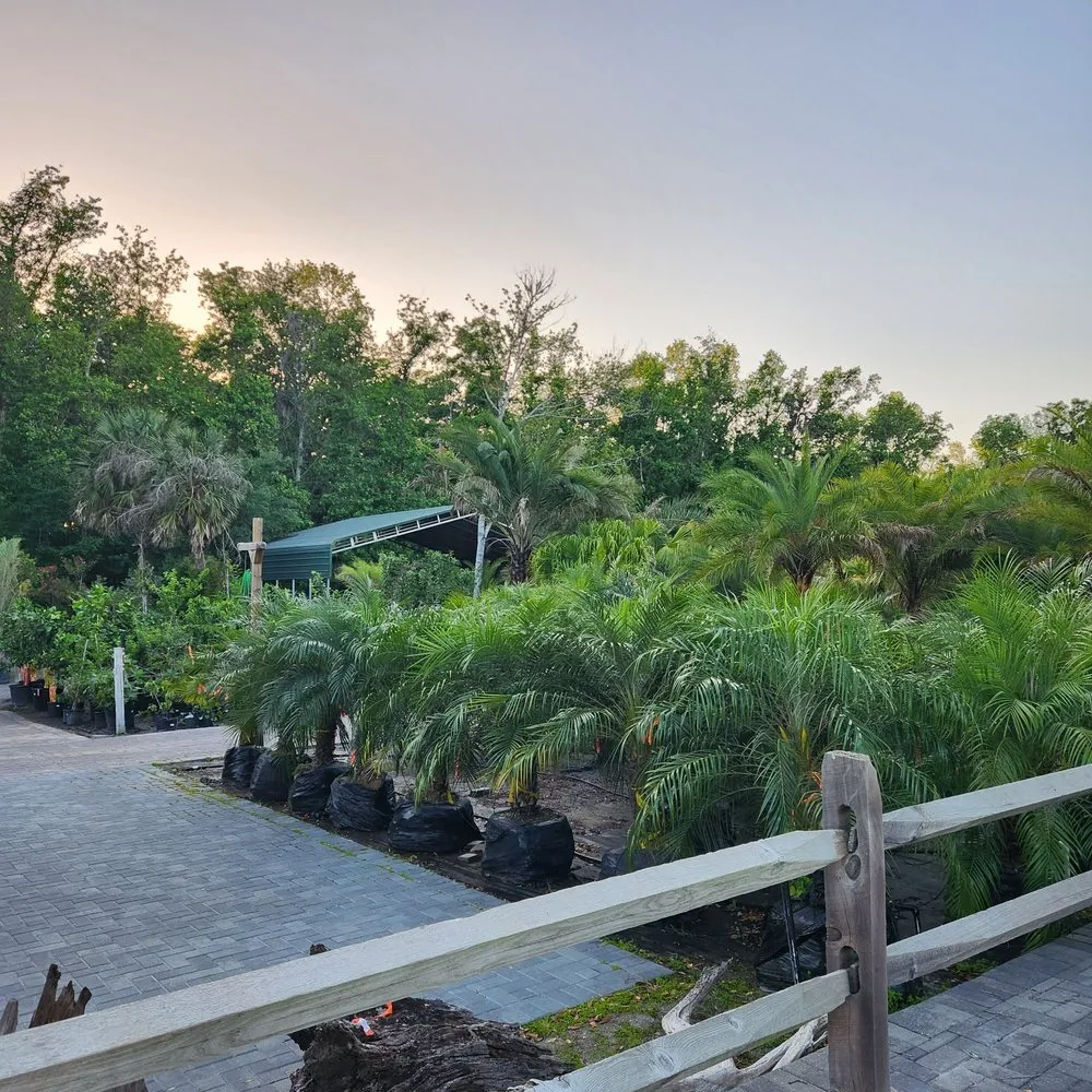 Affordable outdoor landscaping experts serving Jacksonville, FL - Earth Works Plant Nursery