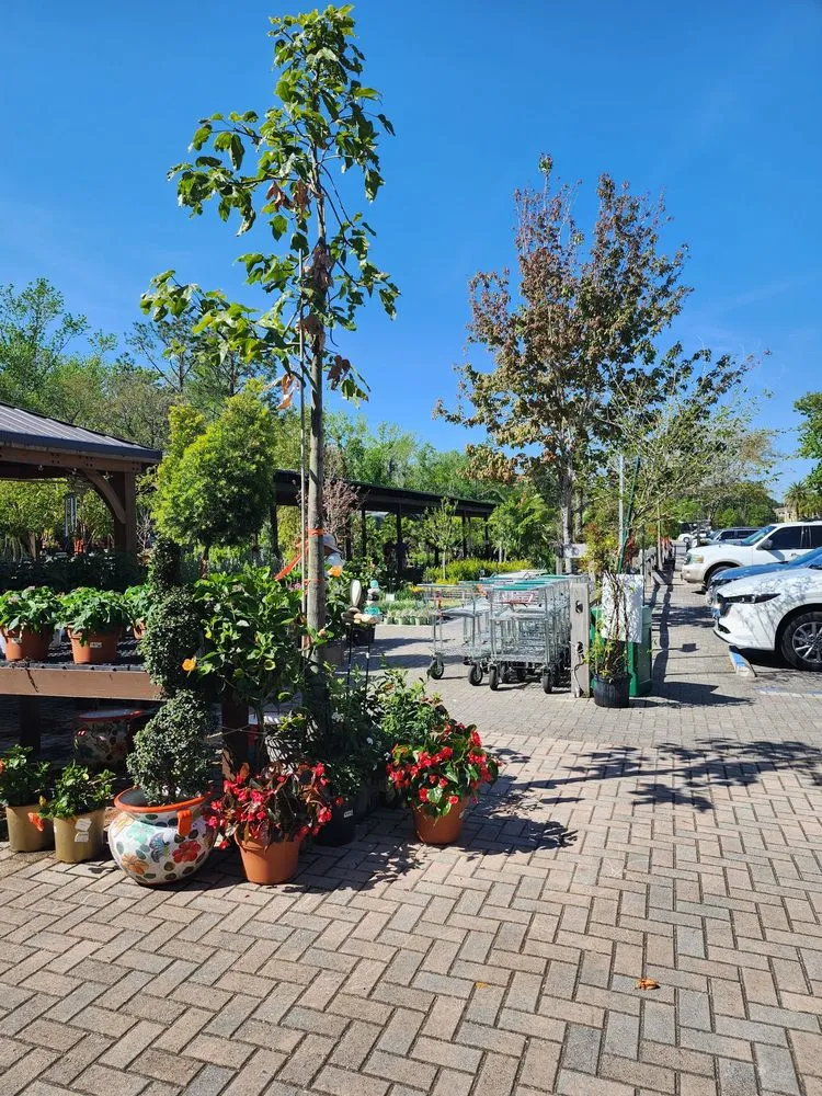 Trusted lawn care service in Jacksonville, FL by Earth Works Plant Nursery