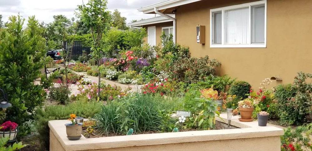 Professional lawn mowing service for residential properties in Huntington Beach, CA by Earth1