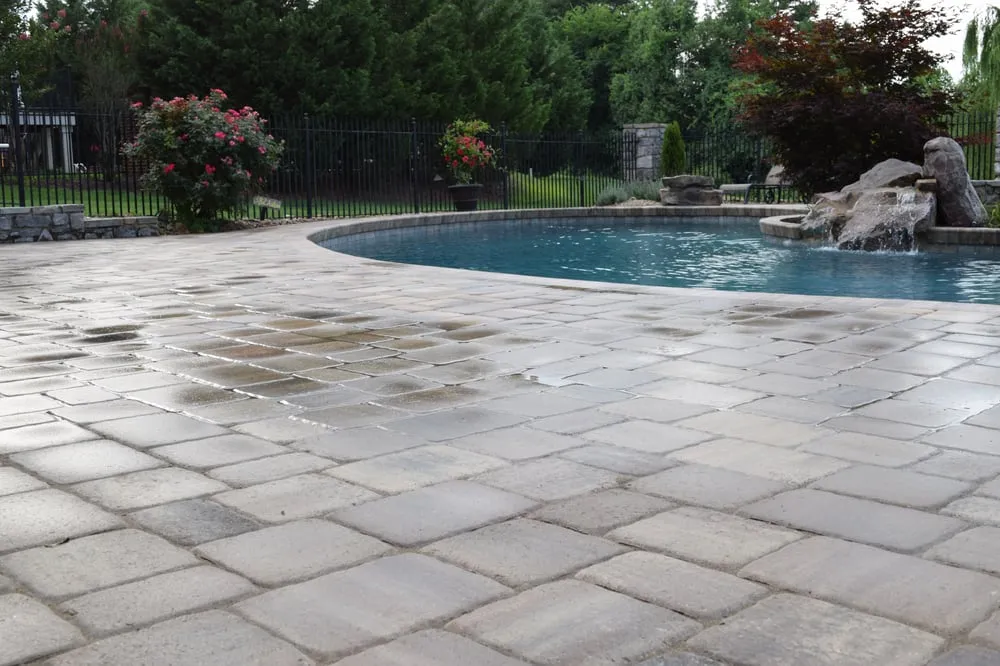 Affordable landscaping services for year-round maintenance across Knoxville, TN - Earthadelic