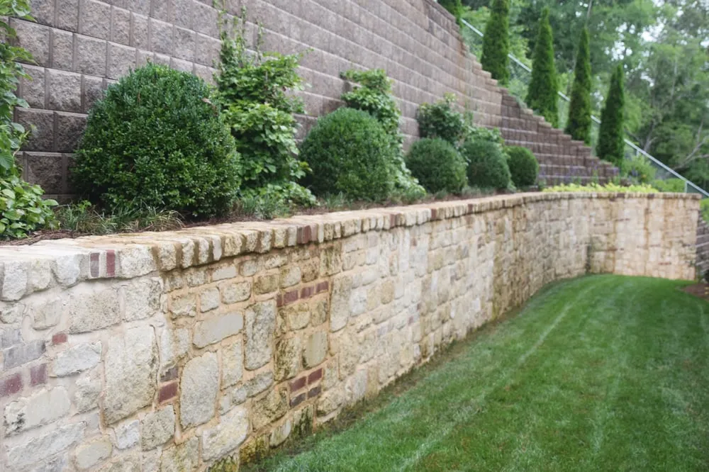 Expert yard maintenance in Knoxville, TN by Earthadelic