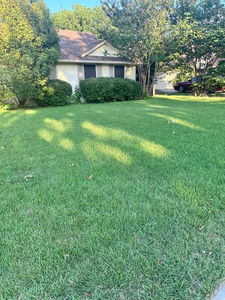 Trusted landscape installation in Denton, TX - EarthAid Organics