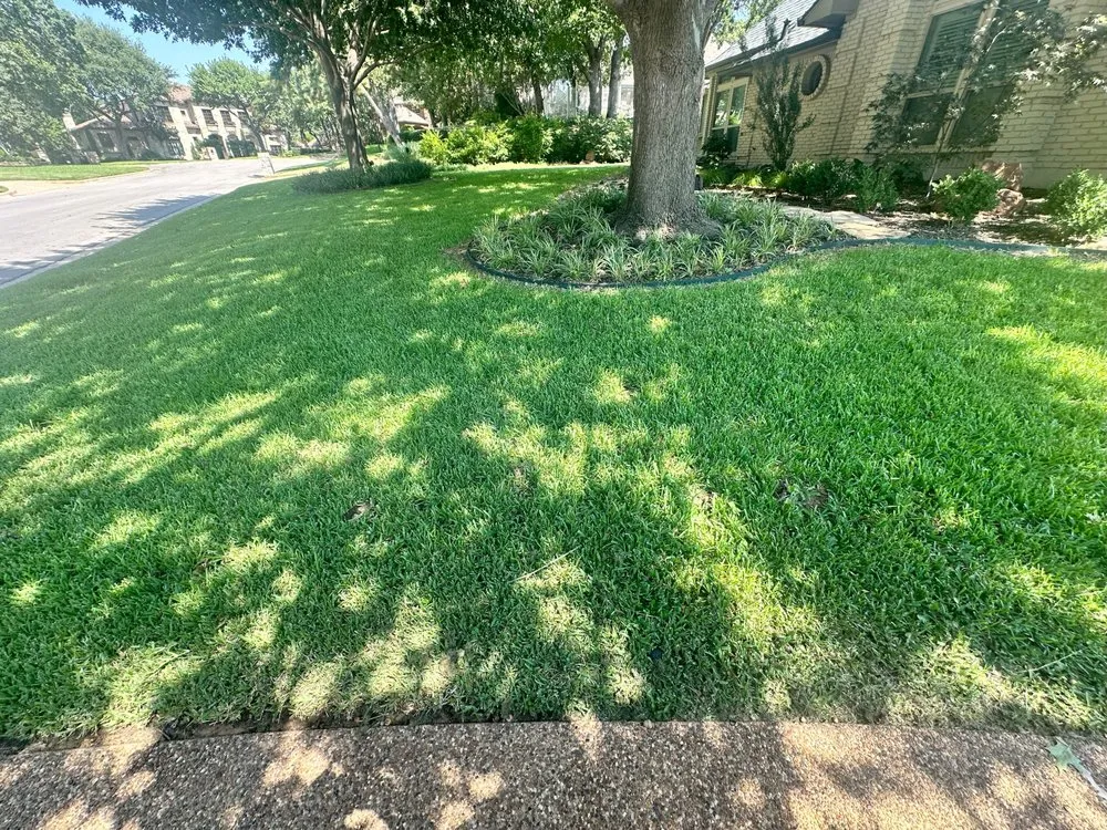 Expert landscaping services experts serving Denton, TX - EarthAid Organics