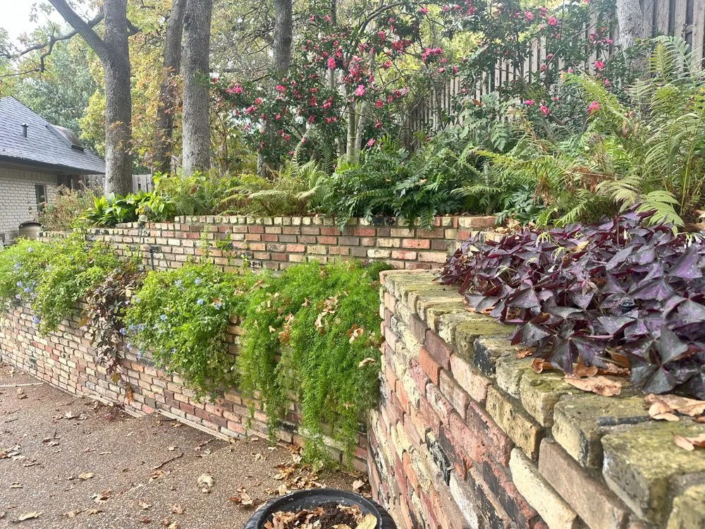 Professional residential landscaping for residential properties across Denton, TX - EarthAid Organics