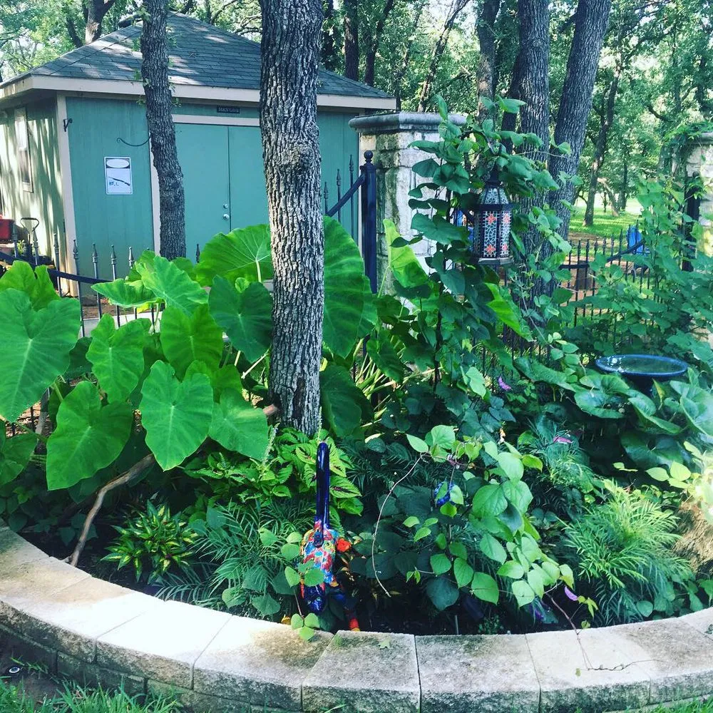 Affordable landscape installation in Denton, TX by EarthAid Organics