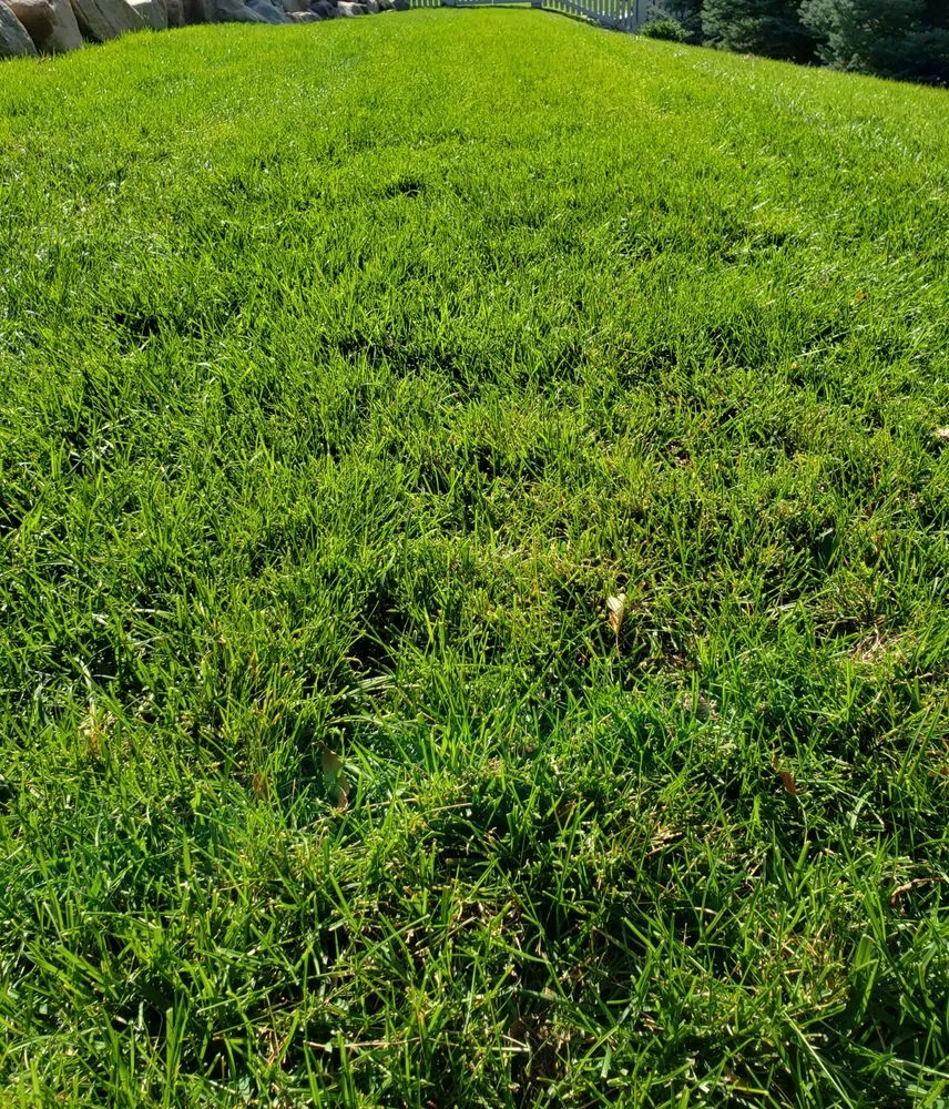 Expert landscape installation experts serving Centennial, CO - Earthanics Natural and Organic Lawn care