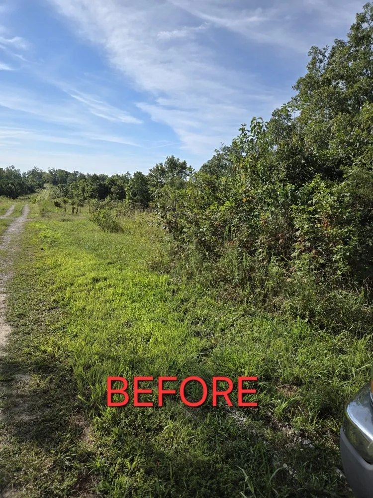 Professional lawn mowing service experts serving Houston, MO - Earthbender