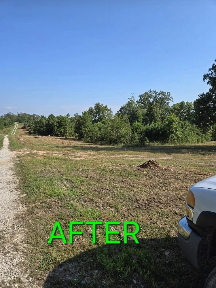 Top-rated residential landscaping for beautiful yards across Houston, MO - Earthbender