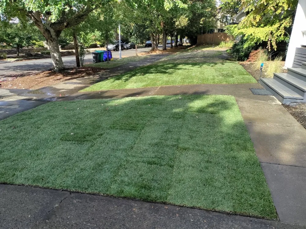 Affordable yard maintenance experts serving Portland, OR - Earthborn Landscape Services