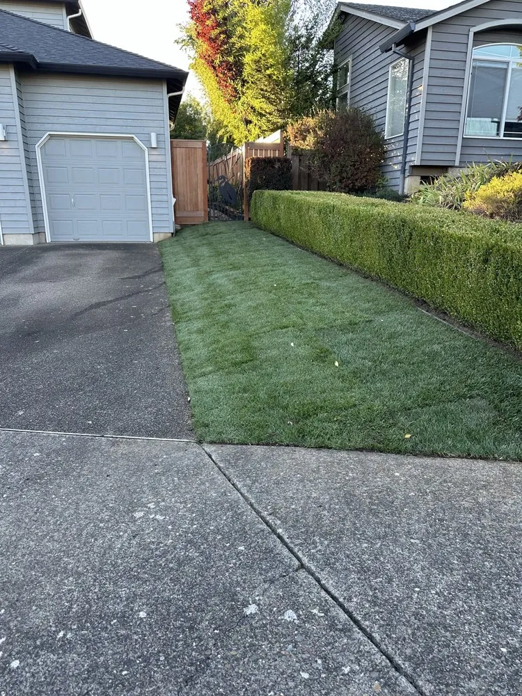 Professional landscaping services in Portland, OR - Earthborn Landscape Services