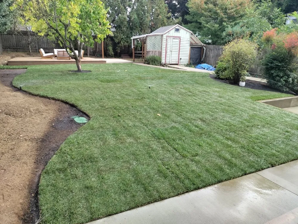 Affordable lawn care service in Portland, OR by Earthborn Landscape Services