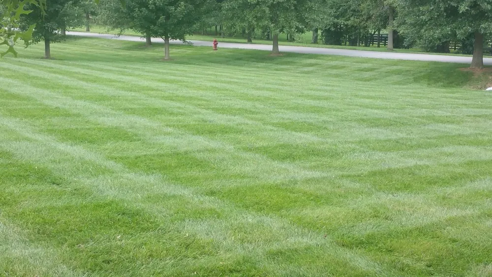Trusted lawn mowing service in Jeffersonville, IN - Earthcanvas