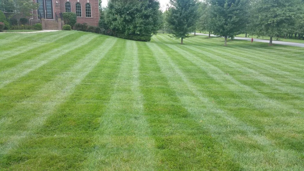 Trusted residential landscaping in Jeffersonville, IN - Earthcanvas