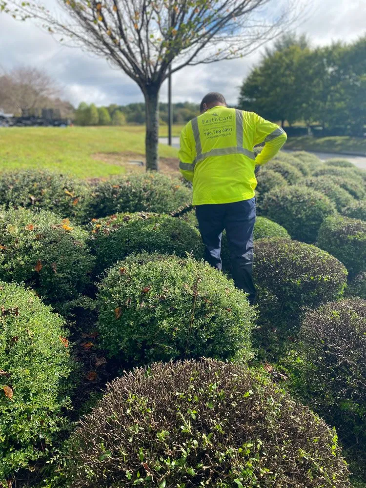 Custom landscape installation experts serving Clarkesville, GA - EarthCare Landscape Management