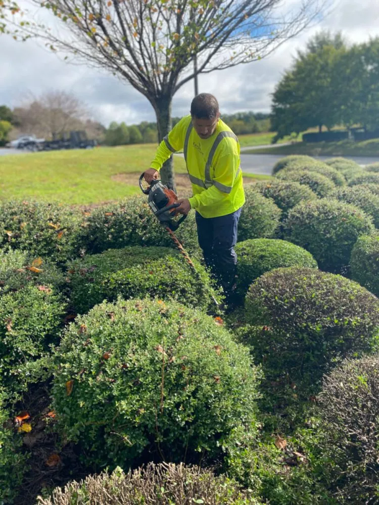 Custom residential landscaping experts serving Clarkesville, GA - EarthCare Landscape Management