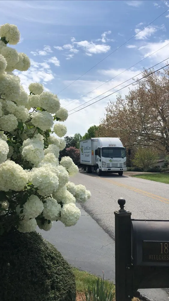 Professional yard maintenance in Clarkesville, GA by EarthCare Landscape Management