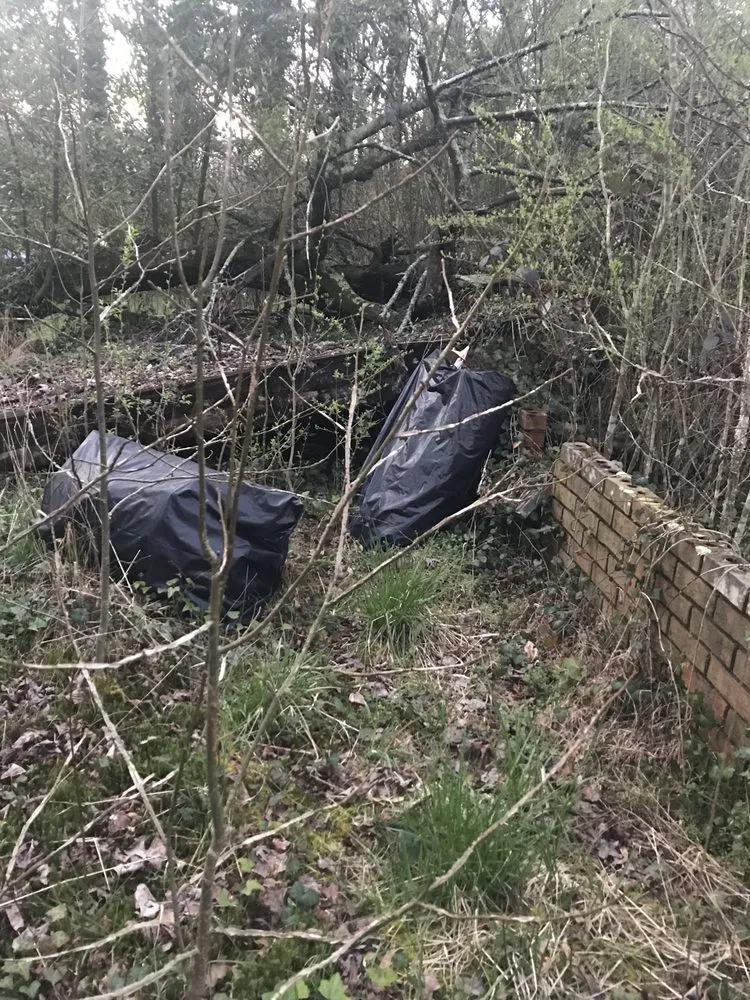 Trusted landscape installation for year-round maintenance across Clarkesville, GA - EarthCare Landscape Management