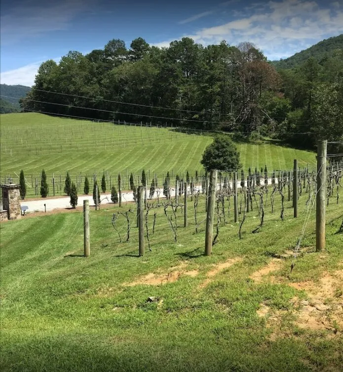 Reliable outdoor landscaping for year-round maintenance across Clarkesville, GA - EarthCare Landscape Management