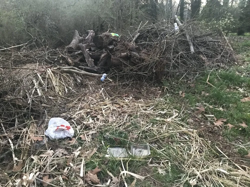 Expert yard cleanup service in Clarkesville, GA by EarthCare Landscape Management