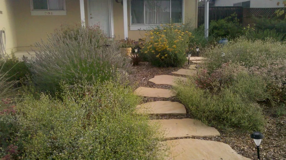 Local lawn mowing service in San Jose, CA - Earthcare Landscaping