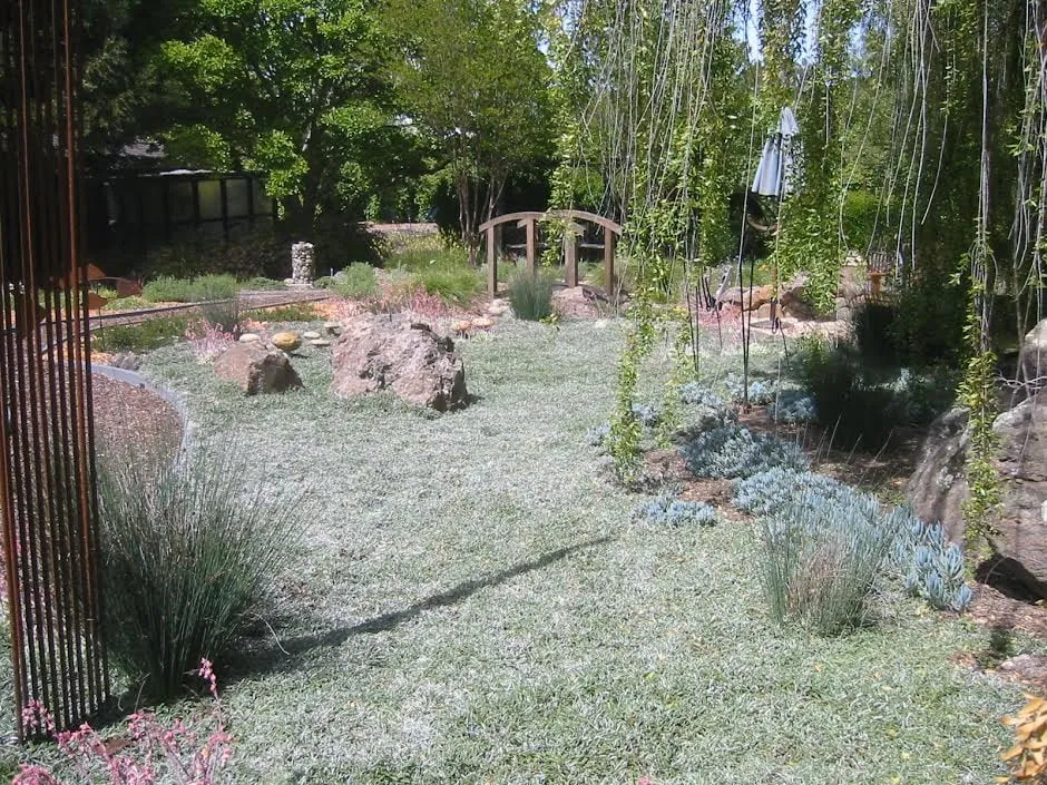 Affordable landscape design for homes in San Jose, CA by Earthcare Landscaping