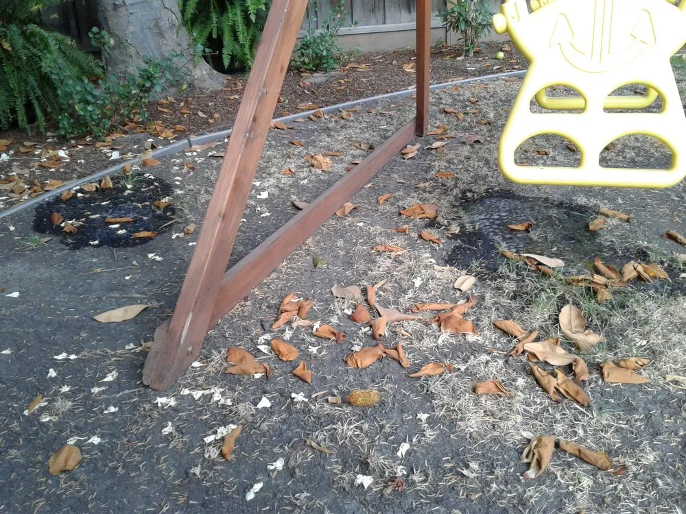 Top-rated yard cleanup service for beautiful yards in San Jose, CA by Earthcare Landscaping