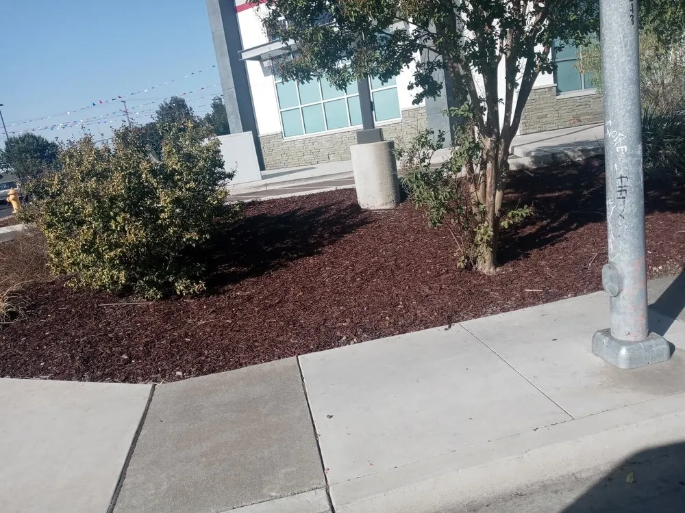 Top-rated yard cleanup service in Stockton, CA - Earthcare Maintenance