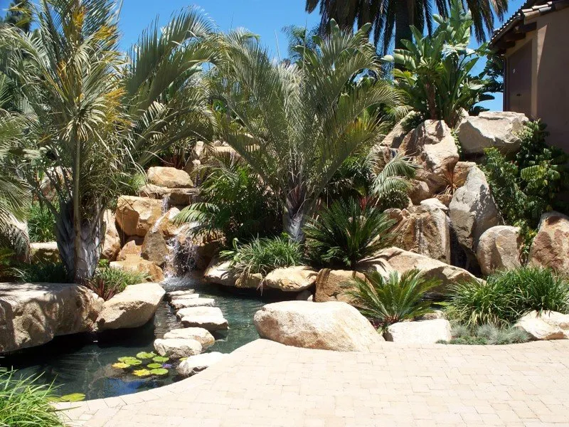 Expert lawn care service experts serving Escondido, CA - Earthcare Pools