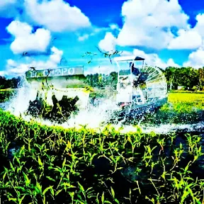 Custom lawn care service in Brooksville, FL by Earthco Aquatic Maintenance