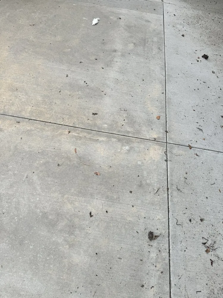 Top-rated outdoor landscaping for homes in Santa Ana, CA by Earthco