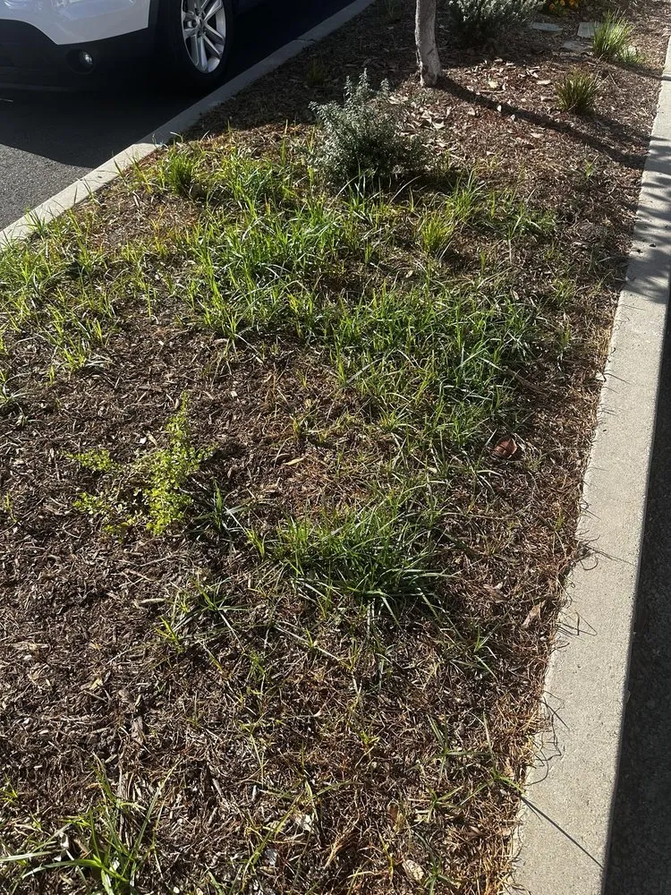 Trusted garden landscaping experts serving Santa Ana, CA - Earthco