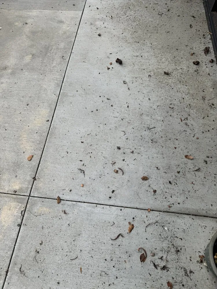 Trusted yard maintenance with custom design in Santa Ana, CA by Earthco