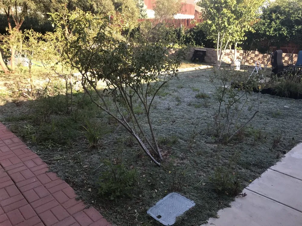 Professional residential landscaping in Santa Ana, CA - Earthco